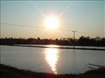 DSC00078