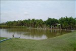 DSC00305